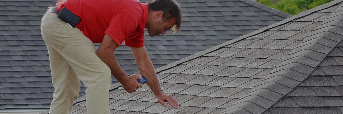 Roof Inspection
